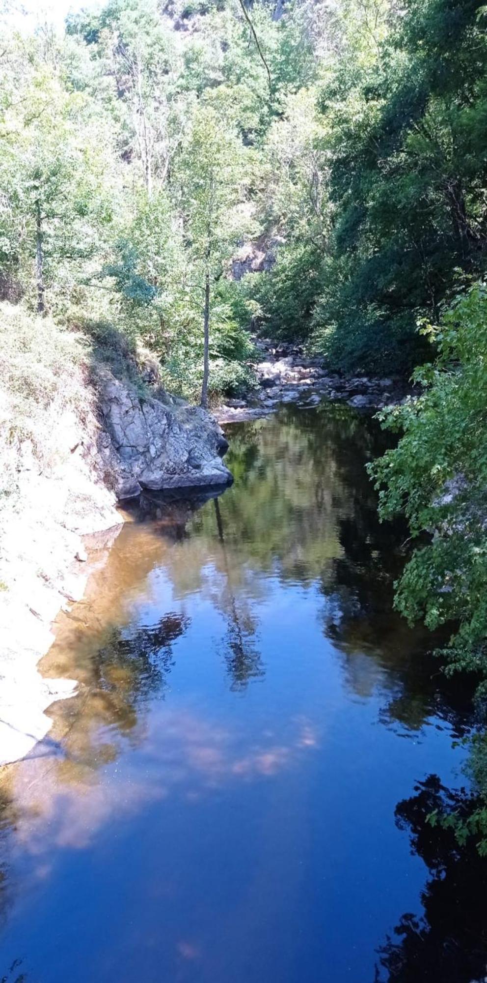 Appartamento Au Fil De L' Eau Aurec-Sur-Loire Esterno foto